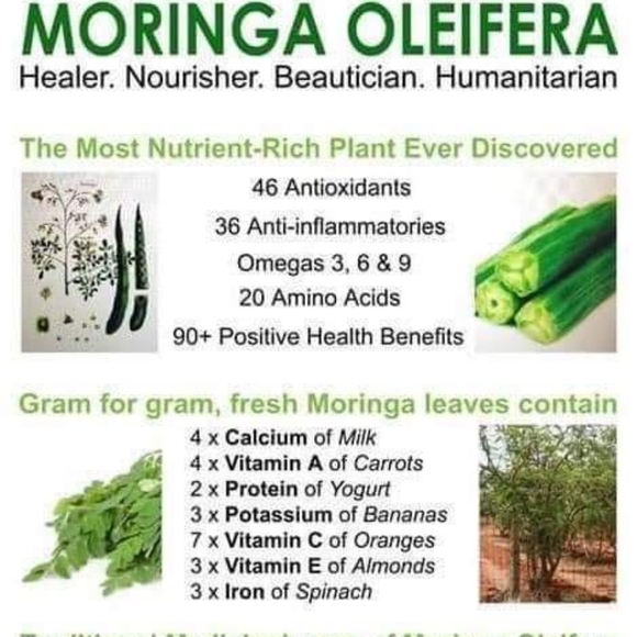 Moringa Supermix